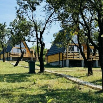 img Viitorul magazinelor de cartier: Cum digitalizarea ajută comerțul local