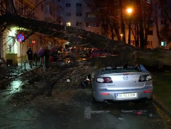 Impactul vijeliei din București: 61 de copaci doborâți și o femeie rănită de o creangă