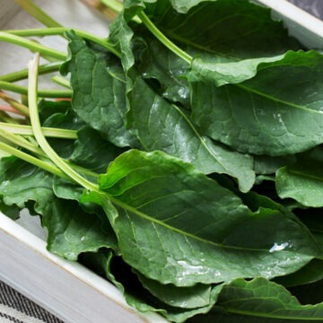 Beneficiile și contraindicațiile șteviei: recomandări și moduri de consum