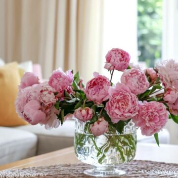 Metode eficiente de prelungire a duratei de viata a florilor taiate