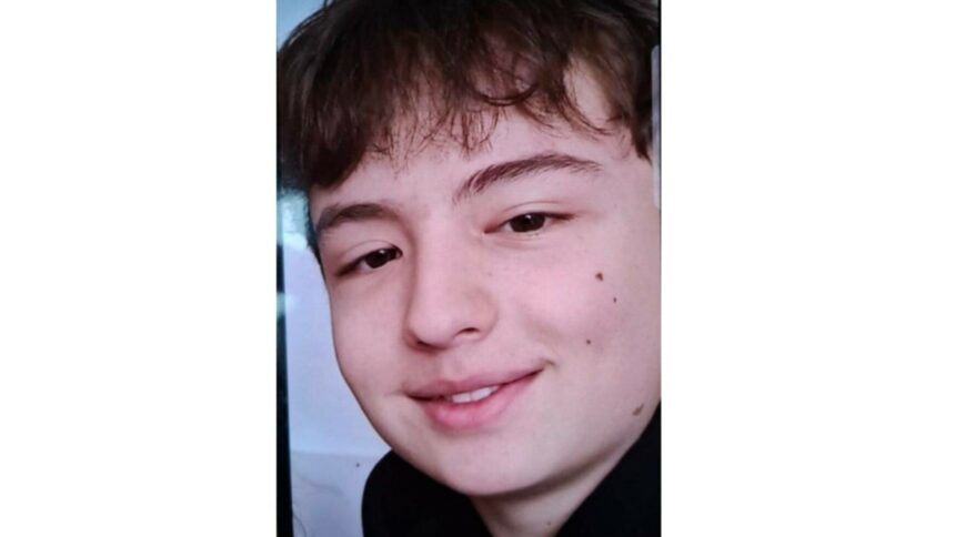 img Dispariția unui adolescent de 14 ani în București