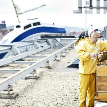 img Bucureștiul ar putea să aibă propria miere, cu stupi pe clădiri și hoteluri, după modelul aplicat în Viena de sute de ani