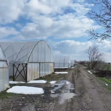 img Beneficiile fiscalizării micilor fermieri în agricultură