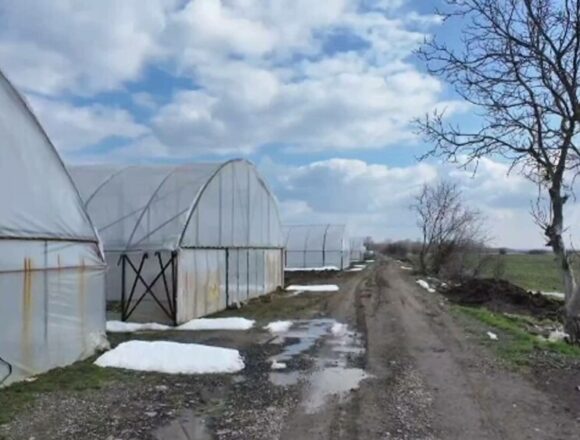 Beneficiile fiscalizării micilor fermieri în agricultură