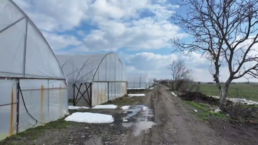 img Beneficiile fiscalizării micilor fermieri în agricultură