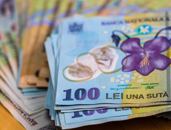 Scandalul firmei prahovene care a prejudiciat bugetul statului