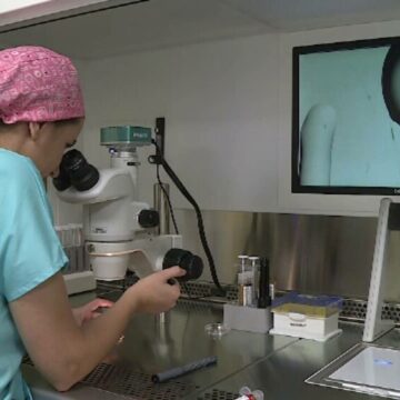 img Beneficii pentru fertilizare in vitro – Sprijin pentru cupluri sau femei singure