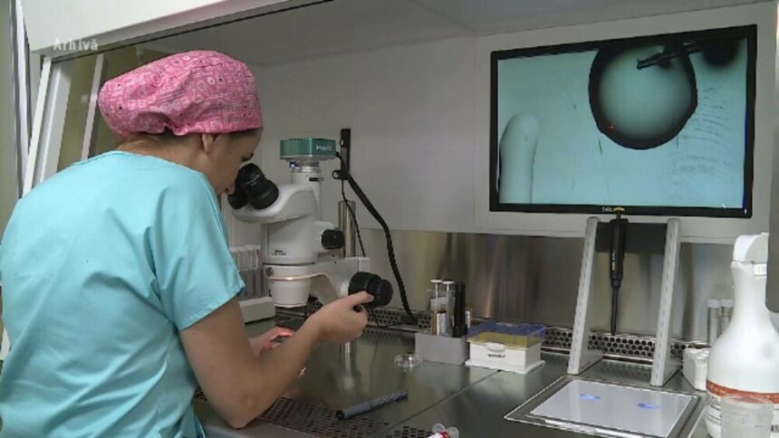 img Beneficii pentru fertilizare in vitro – Sprijin pentru cupluri sau femei singure