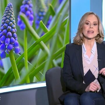 img Doctor de bine. Emisiunea integrală din 6 aprilie 2025