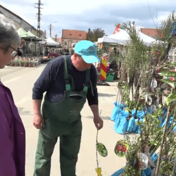 img Pomii exotici care s-au adaptat la clima din România