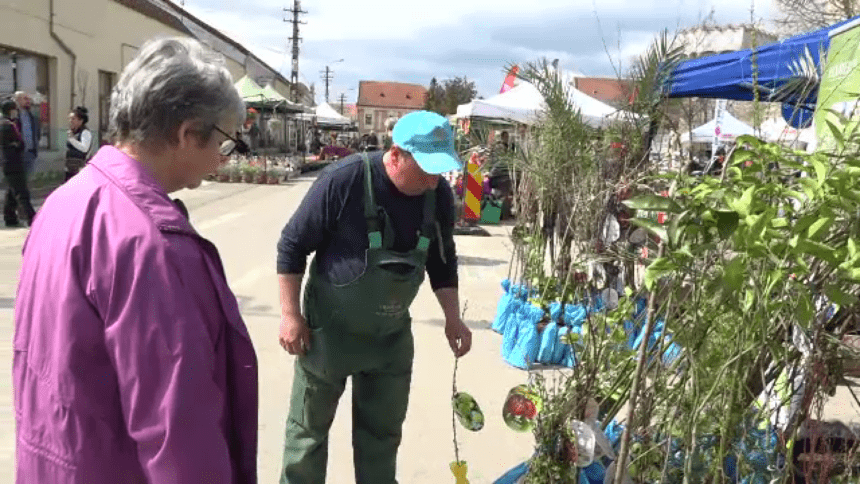 img Pomii exotici care s-au adaptat la clima din România