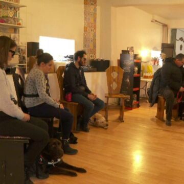 img Tabără specială pentru câini-ghid și persoane nevăzătoare în Munții Făgăraș
