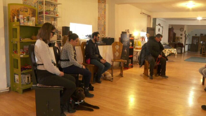 img Tabără specială pentru câini-ghid și persoane nevăzătoare în Munții Făgăraș